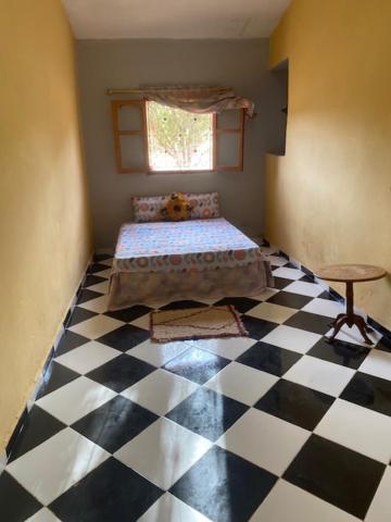 Gite Cedre Gouraud Otel Azrou Dış mekan fotoğraf