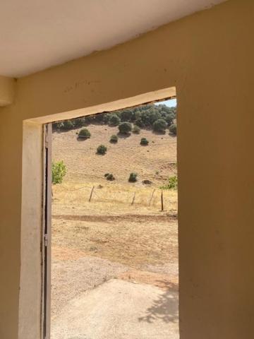 Gite Cedre Gouraud Otel Azrou Dış mekan fotoğraf