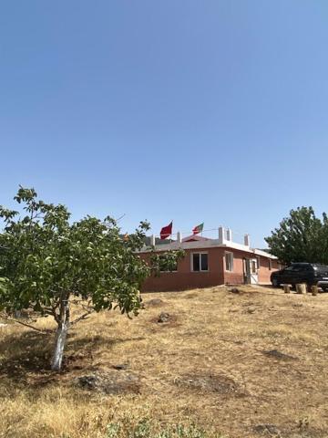 Gite Cedre Gouraud Otel Azrou Dış mekan fotoğraf